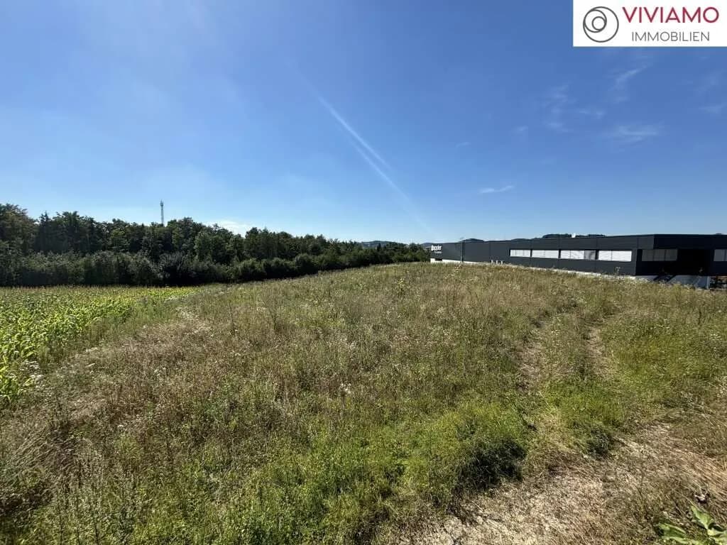 Immobilie kaufen in Wels-Land – 4 237 m², € 160 – Bild 4 von 6