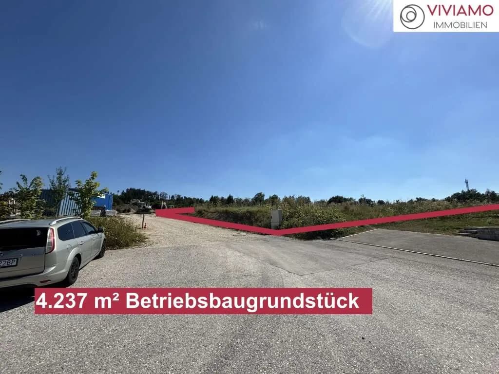 Immobilie kaufen in Wels-Land – 4 237 m², € 160 – Bild 5 von 6
