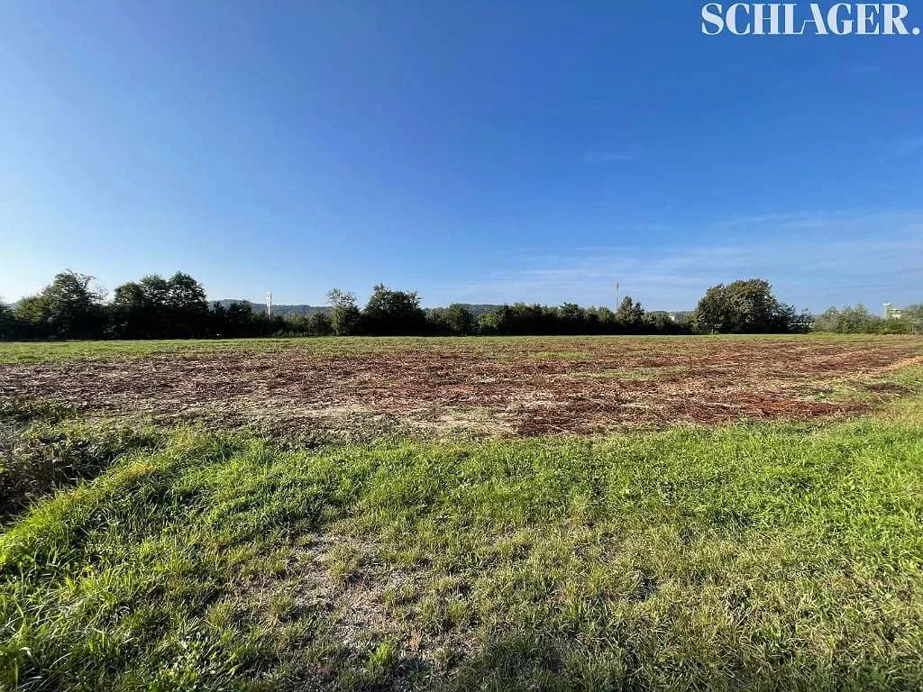 Grundstück kaufen in Hartberg-Fürstenfeld – 12 000 m²
