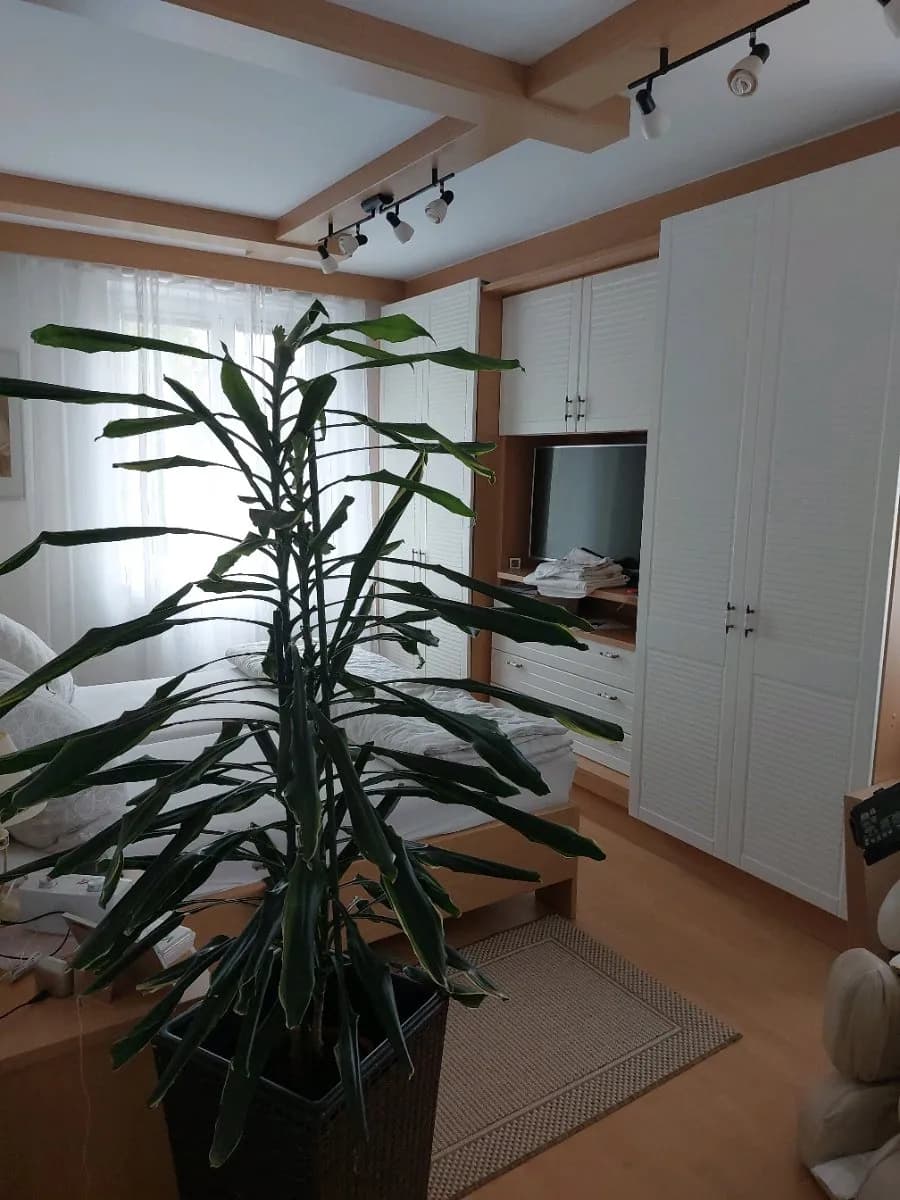 3-Zimmer-Wohnung mieten in Gänserndorf – 80 m², € 700 – Bild 7 von 17
