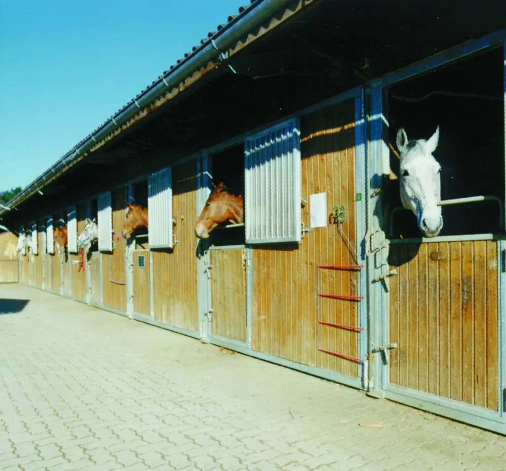 Gewerbeimmobilie kaufen in Sankt Veit an der Glan – 124 448 m² – Bild 2 von 23