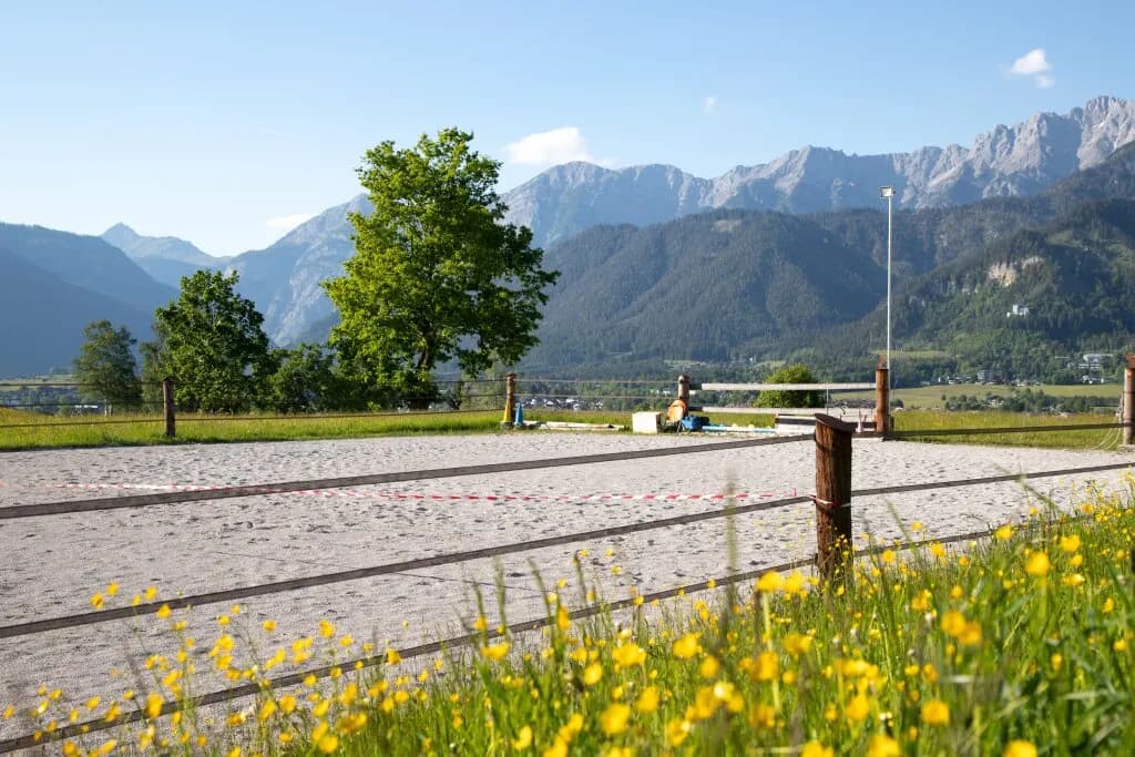 Grundstück kaufen in Zell am See – 1 374 m² – Bild 18 von 50