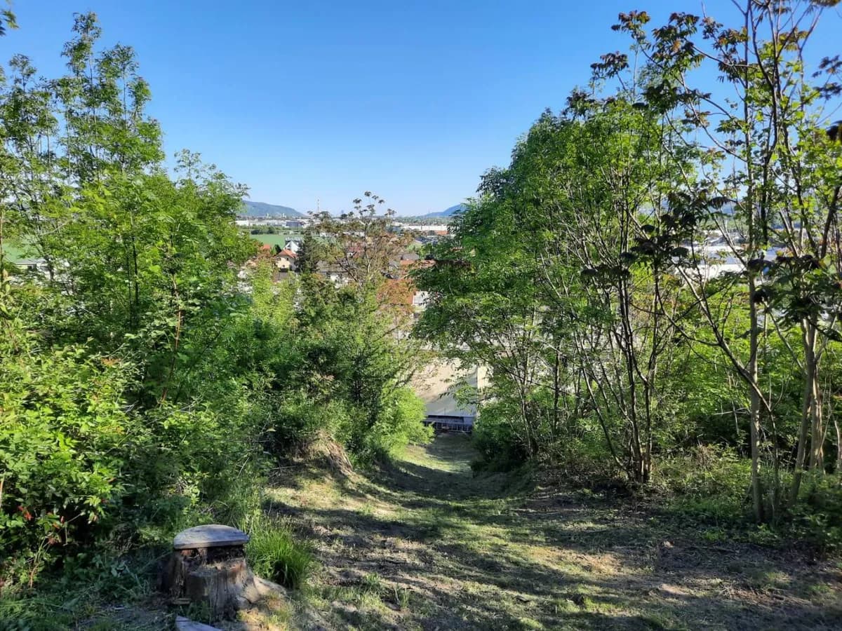 Grundstück kaufen in Korneuburg – 5 046 m², € 850.000