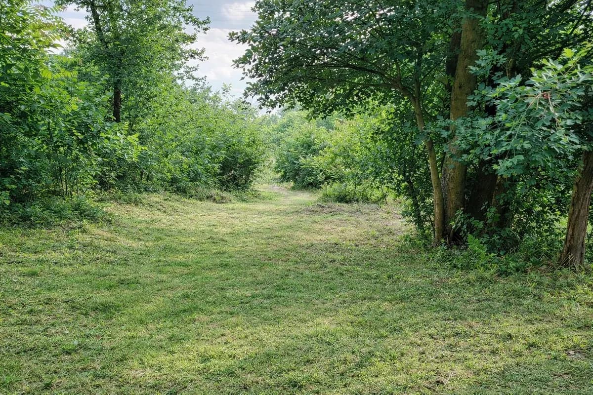 Grundstück kaufen in Korneuburg – 5 046 m², € 850.000 – Bild 3 von 6
