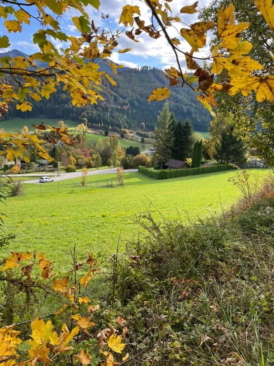 Grundstück kaufen in Steyr-Land – 645 m², € 52.500 – Bild 5 von 7