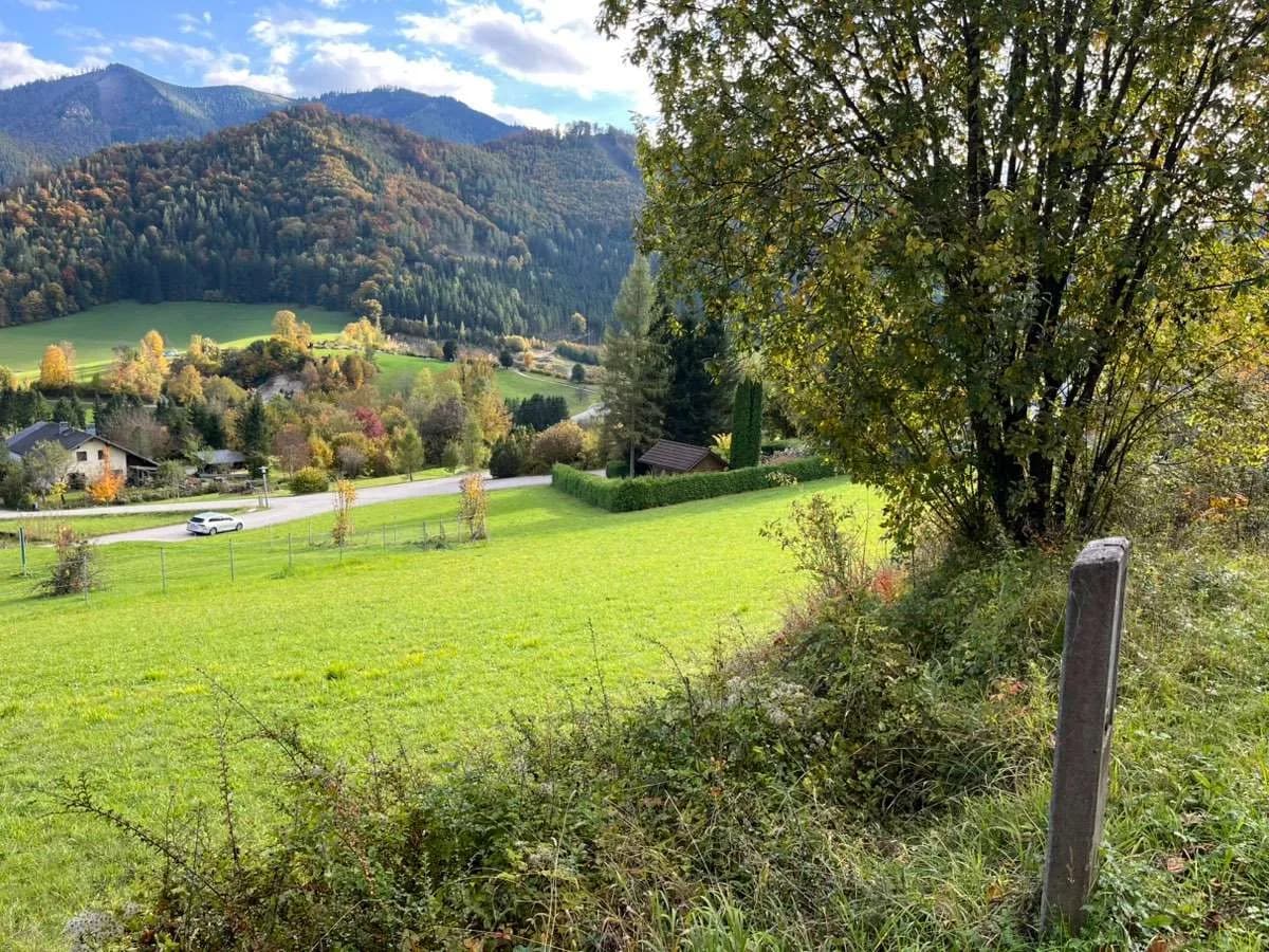 Grundstück kaufen in Steyr-Land – 645 m², € 52.500 – Bild 6 von 7