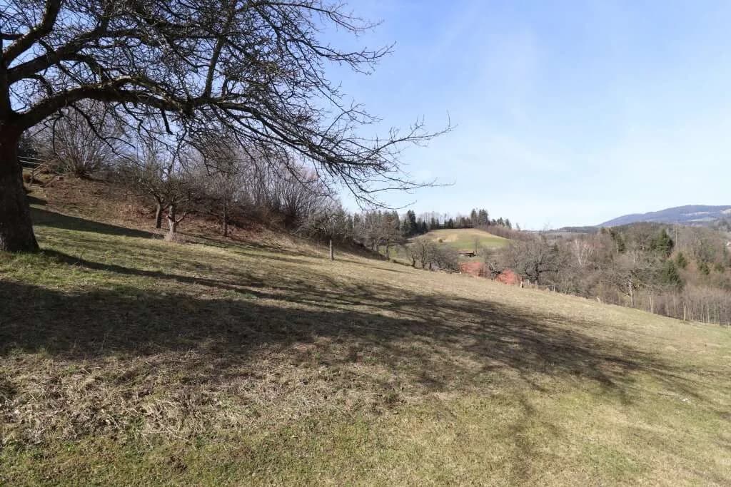 Grundstück kaufen in Voitsberg – 1 500 m², € 75.000 – Bild 2 von 6