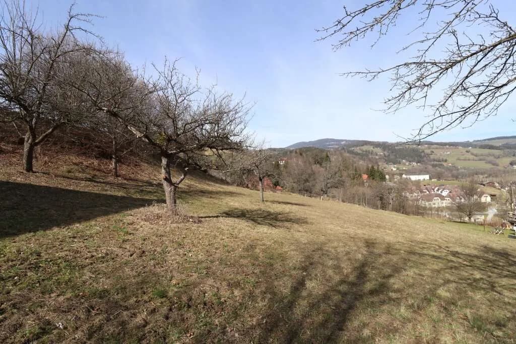 Grundstück kaufen in Voitsberg – 1 500 m², € 75.000 – Bild 5 von 6