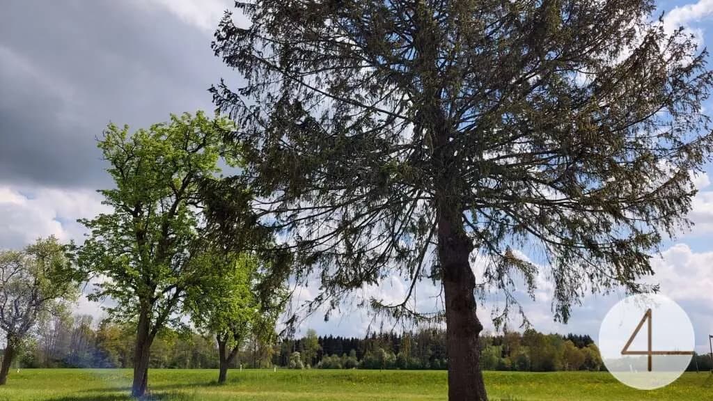 Immobilie kaufen in Ried im Innkreis – 15 103 m², € 1.200.000 – Bild 44 von 50