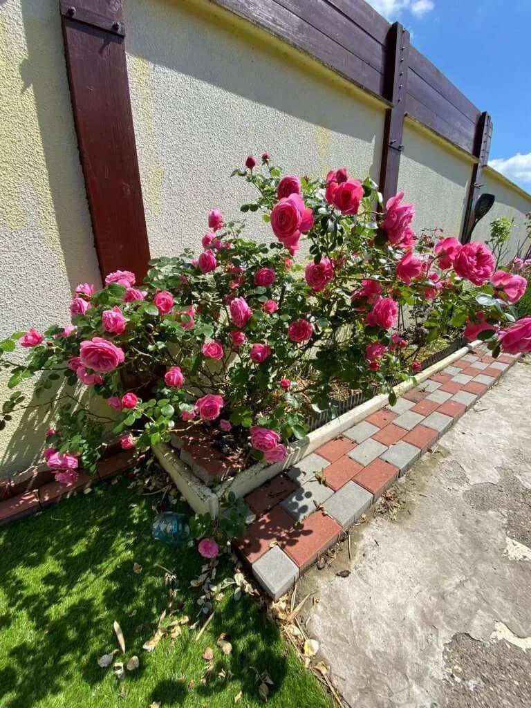 Grundstück kaufen in Mistelbach – € 270.000 – Bild 4 von 16