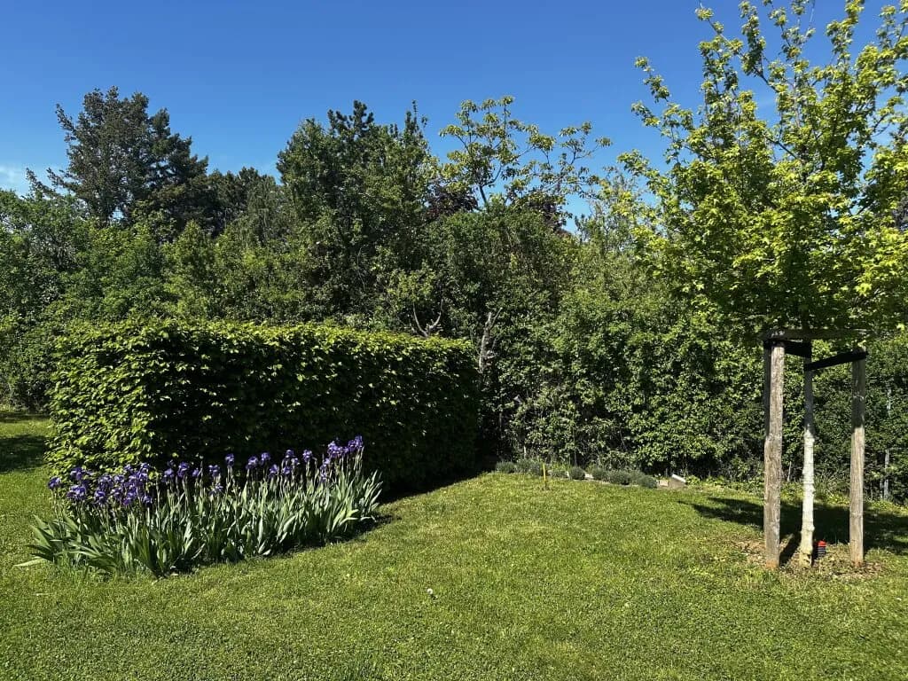 4-Zimmer-Haus kaufen in Baden – 154,82 m², € 950.000 – Bild 24 von 37