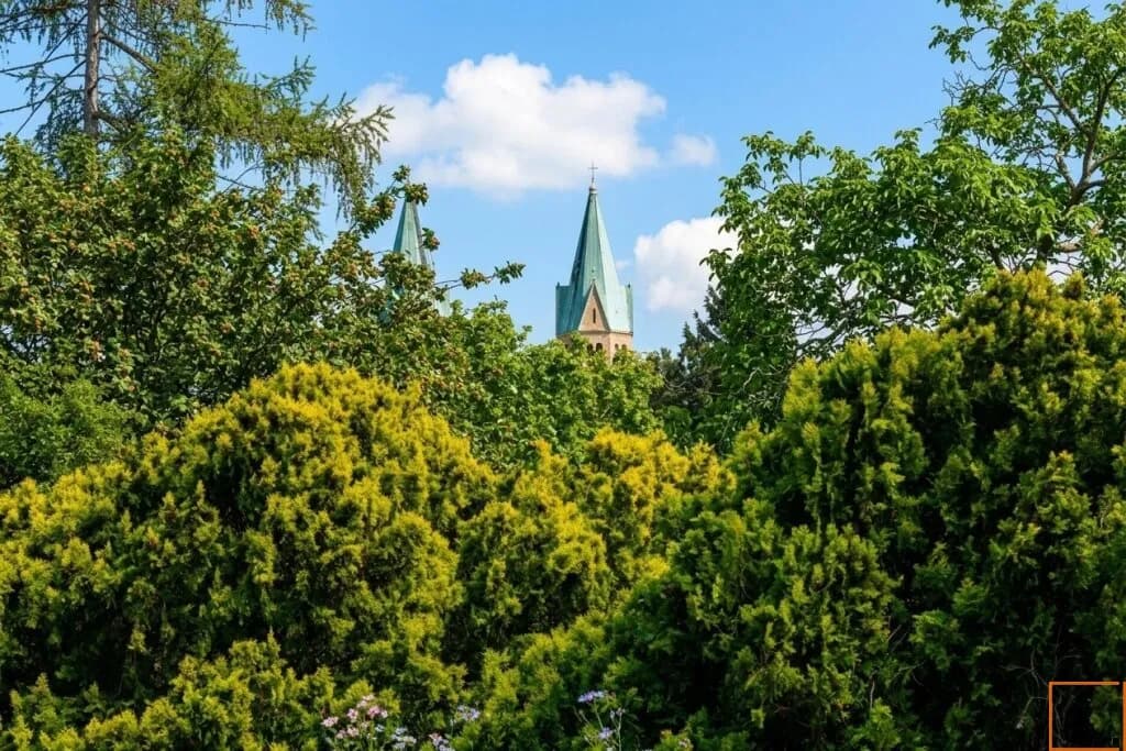 7-Zimmer-Haus mieten in Wien – 250 m², € 4.780 – Bild 13 von 29
