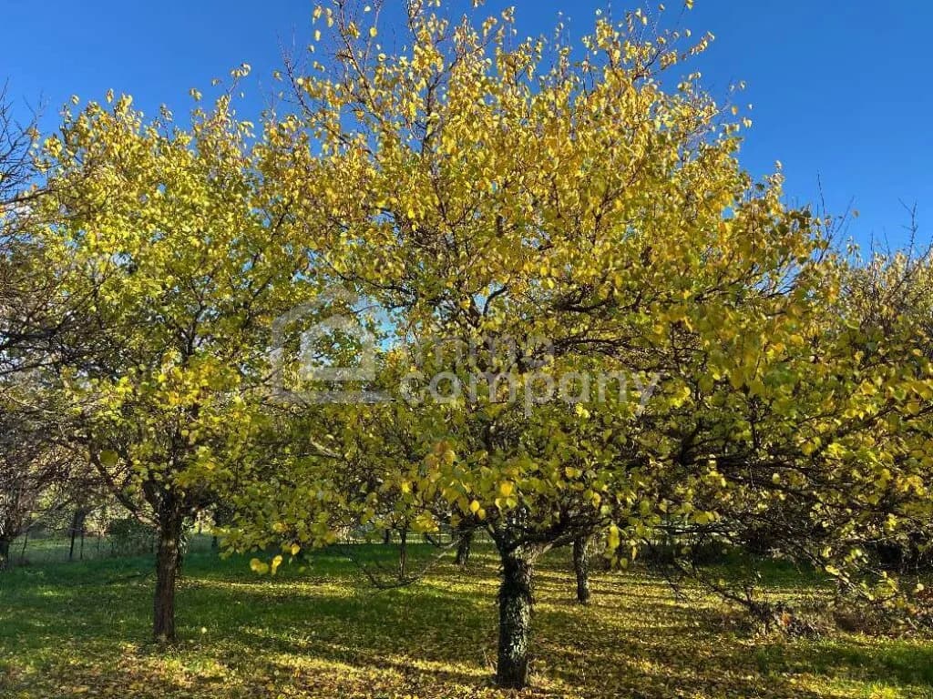Grundstück kaufen in Eisenstadt - Umgebung – 5 143 m², € 1.290.000 – Bild 2 von 3