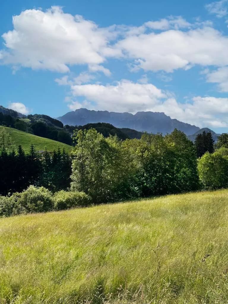 Grundstück kaufen in Hallein – 1 117 m², € 659.000