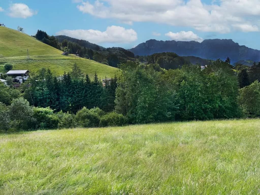 Grundstück kaufen in Hallein – 1 117 m², € 659.000 – Bild 3 von 3