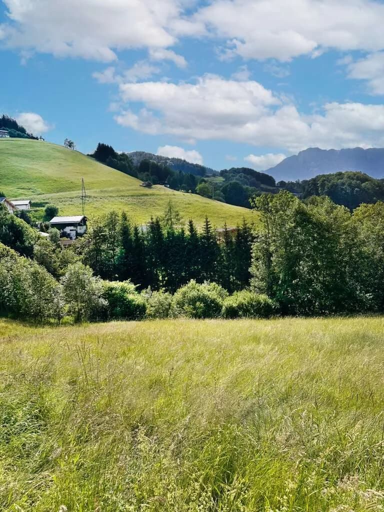 Grundstück kaufen in Hallein – 1 976 m², € 1.150.000