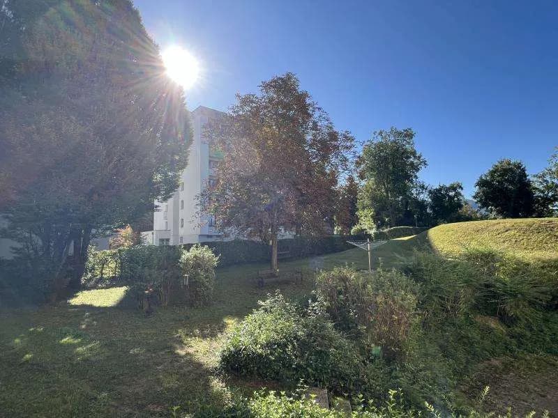 1-Zimmer-Wohnung mieten in Steyr – 48 m², € 540 – Bild 5 von 8