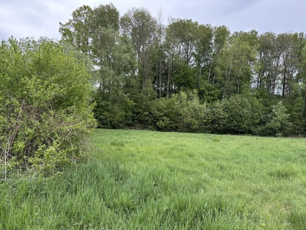 Immobilie kaufen in Oberwart – 8 173 m², € 27.000