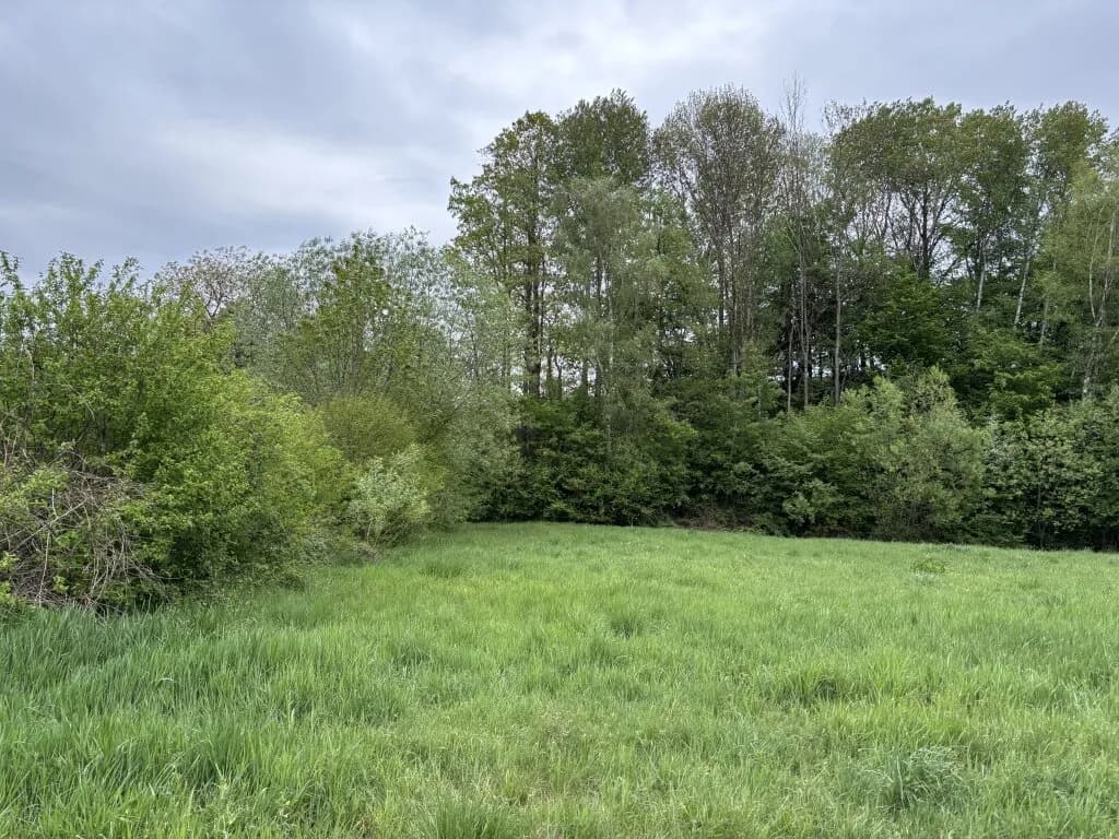 Immobilie kaufen in Oberwart – 8 173 m², € 27.000 – Bild 2 von 5