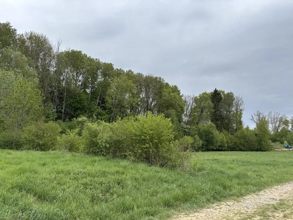 Immobilie kaufen in Oberwart – 8 173 m², € 27.000 – Bild 3 von 5