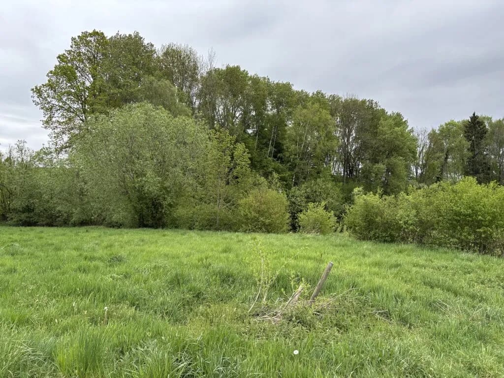 Immobilie kaufen in Oberwart – 8 173 m², € 27.000 – Bild 4 von 5