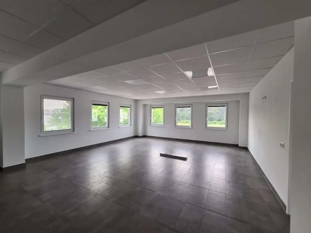 Gewerbeimmobilie mieten in Wiener Neustadt Land – 2 000 m², € 12.000 – Bild 6 von 9