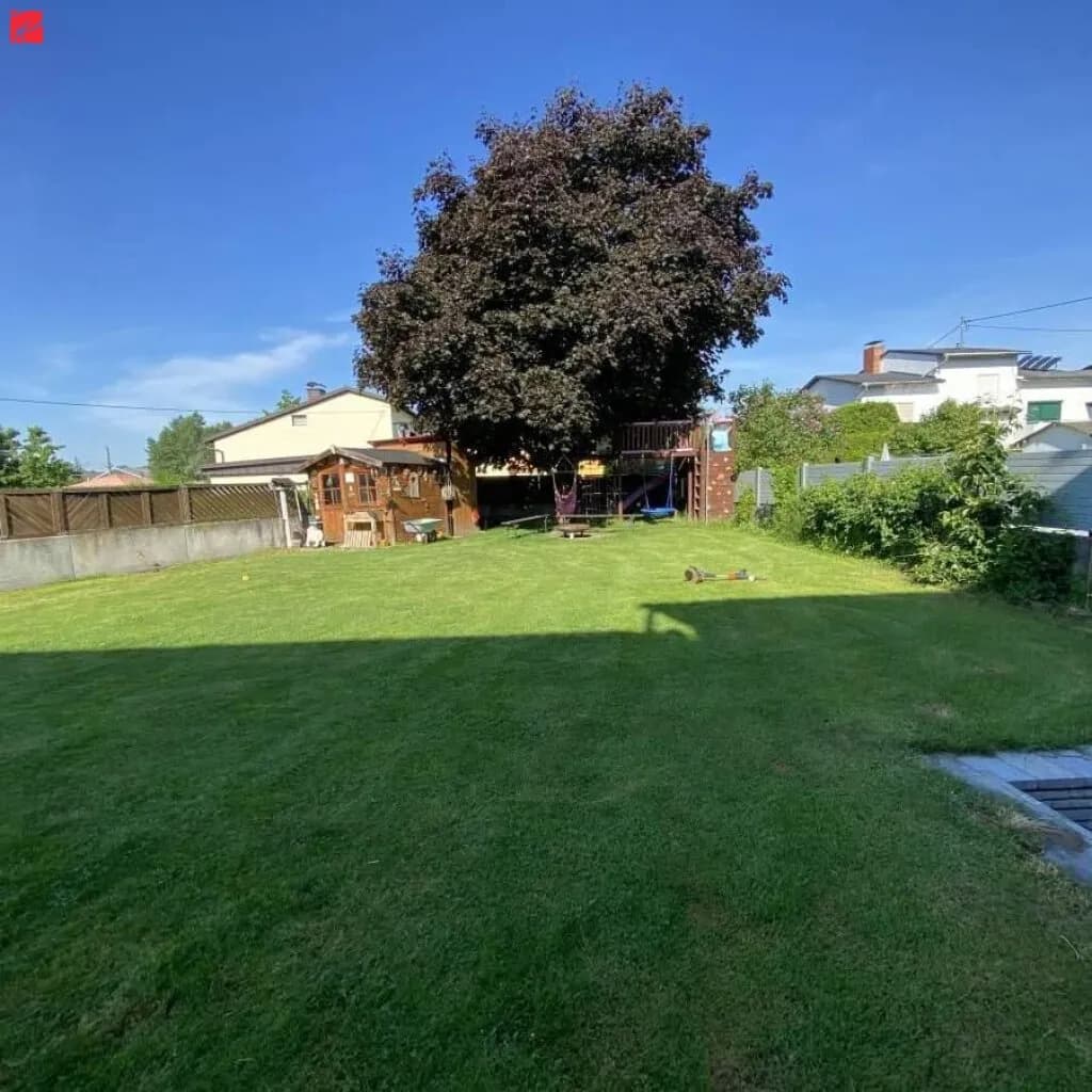 Gewerbeimmobilie kaufen in Linz Land – 300 m², € 679.000 – Bild 7 von 8