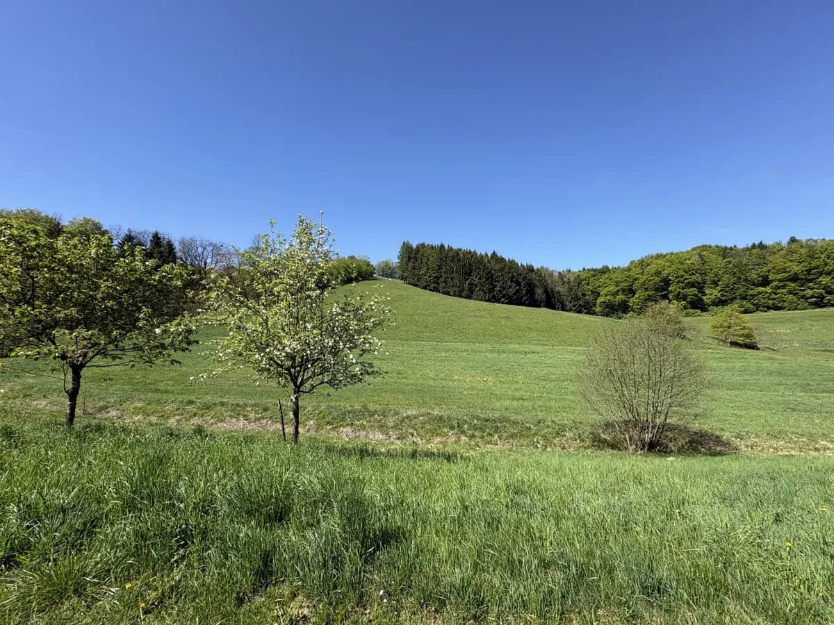 9-Zimmer-Haus kaufen in Leibnitz – 263 m², € 1.050.000 – Bild 21 von 28
