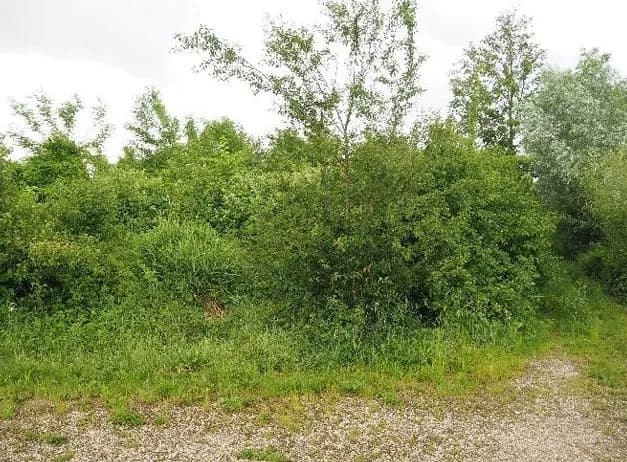 Grundstück kaufen in Linz Land – 14 763 m², € 184.538 – Bild 5 von 5