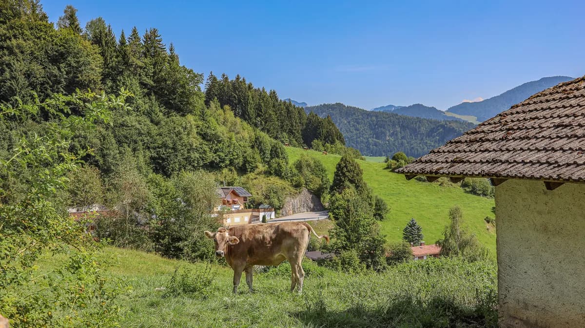 16-Zimmer-Immobilie kaufen in Kufstein – 703 m², € 1.950.000 – Bild 29 von 34