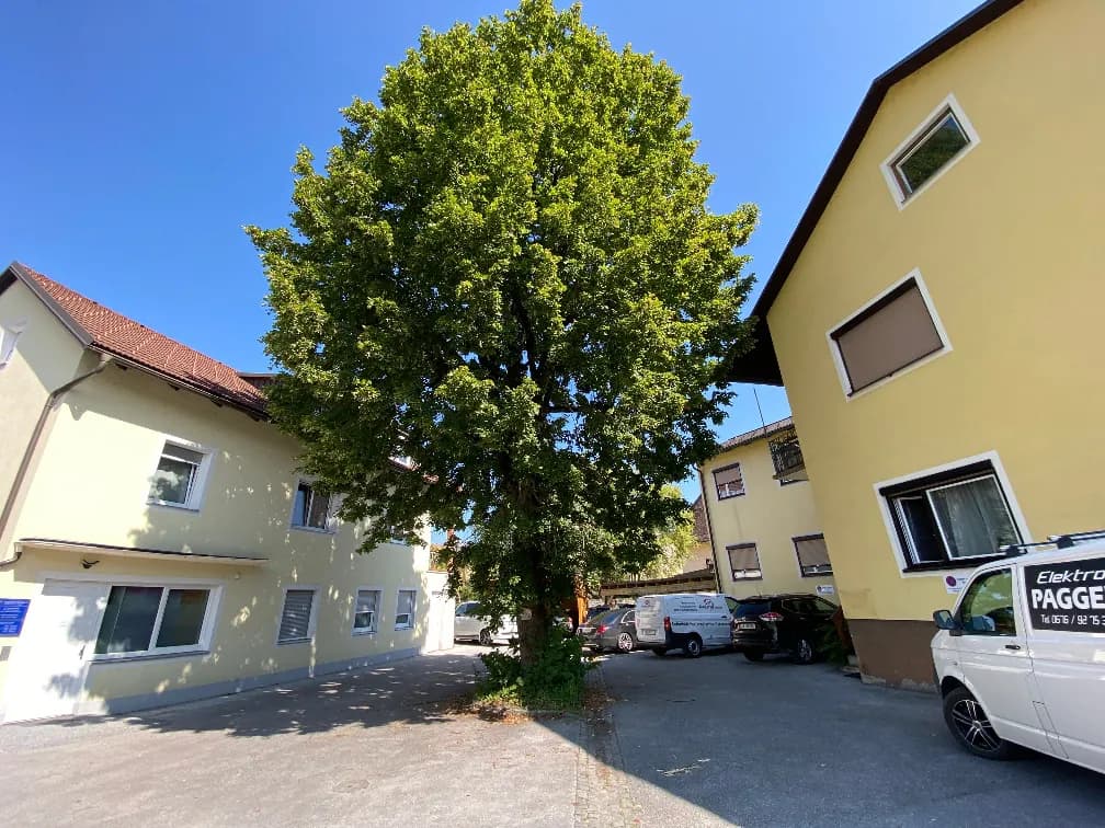 Gewerbeimmobilie kaufen in Voitsberg – 302 m², € 425.000