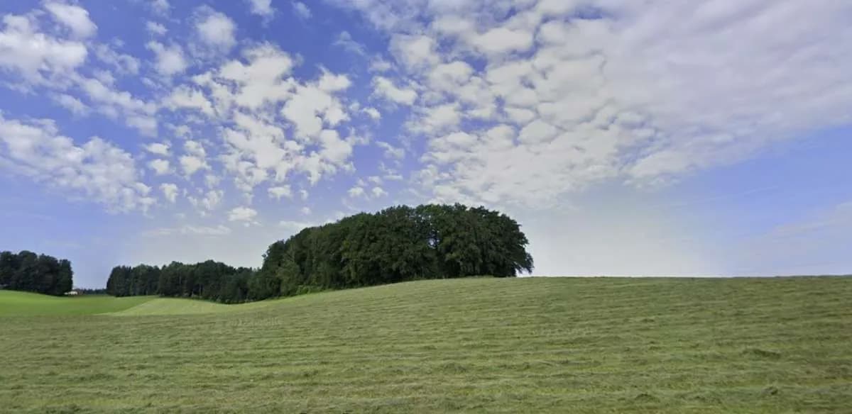 Grundstück kaufen in Salzburg-Umgebung – 61 000 m², € 1.090.000