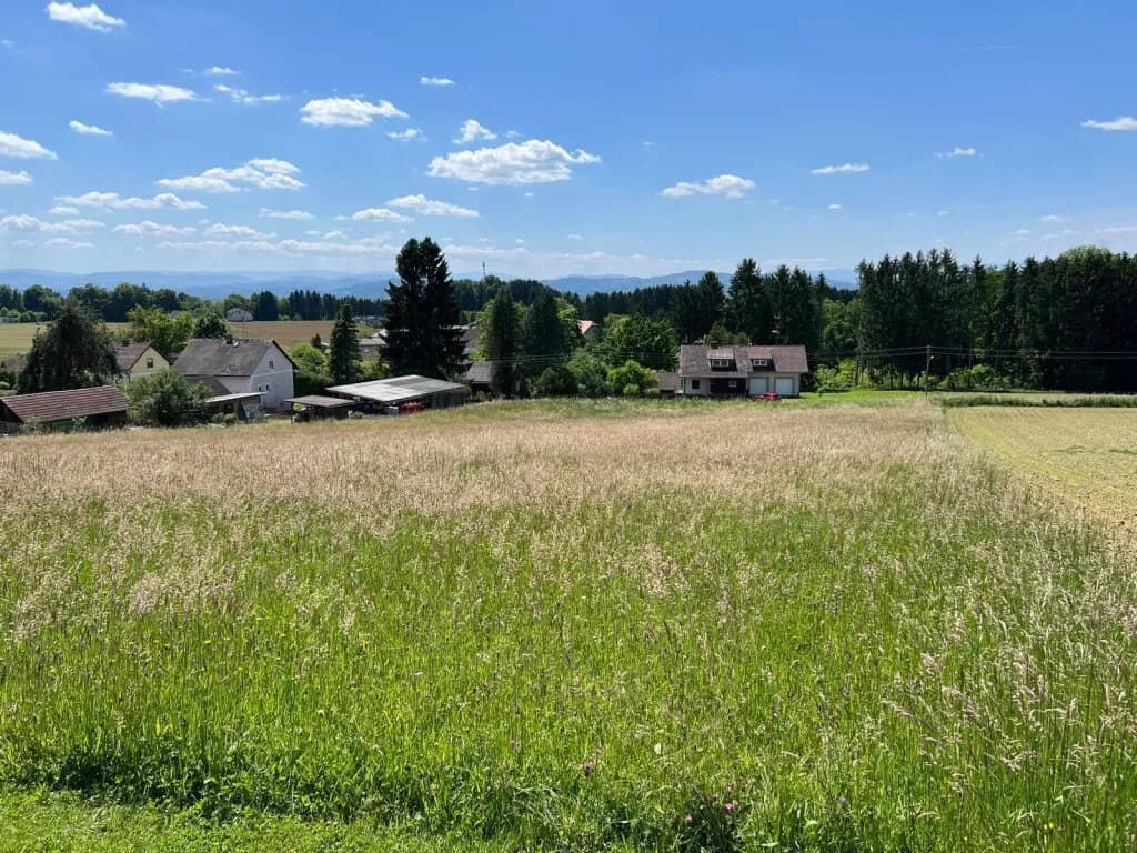 Grundstück kaufen in Leibnitz – 4 950 m², € 396.000 – Bild 7 von 7