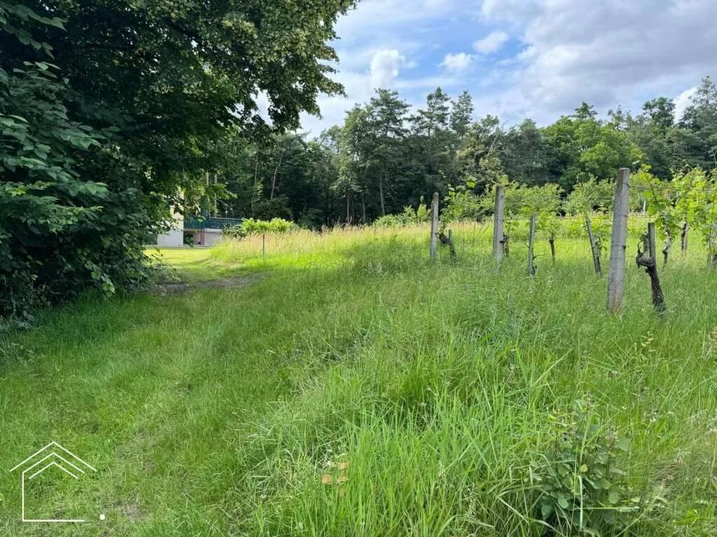 Immobilie kaufen in Oberwart – 2 313 m²