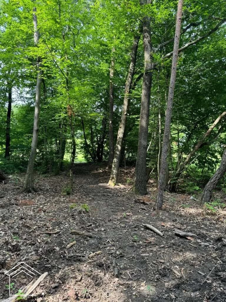 Immobilie kaufen in Oberwart – 2 313 m² – Bild 3 von 11