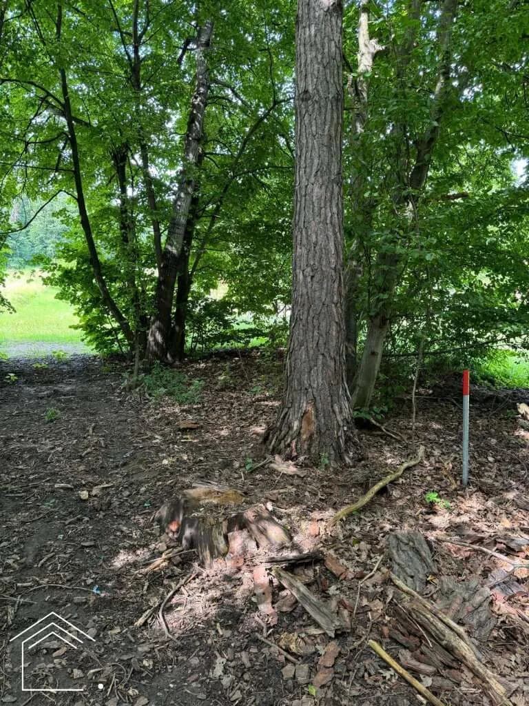 Immobilie kaufen in Oberwart – 2 313 m² – Bild 4 von 11