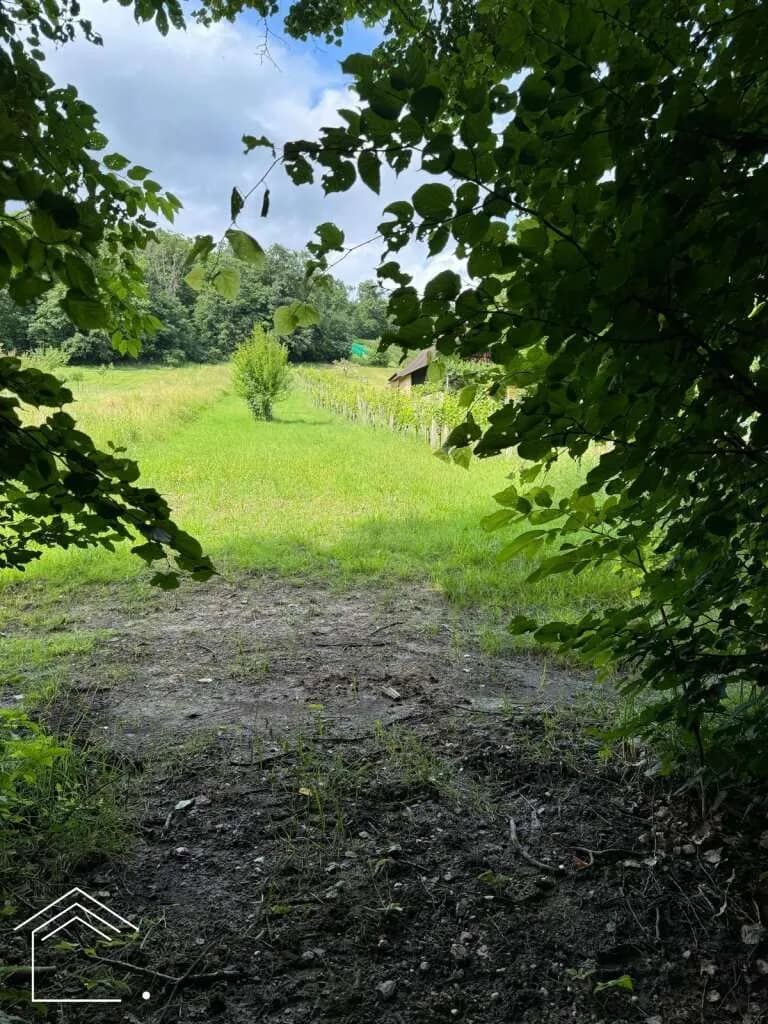 Immobilie kaufen in Oberwart – 2 313 m² – Bild 8 von 11