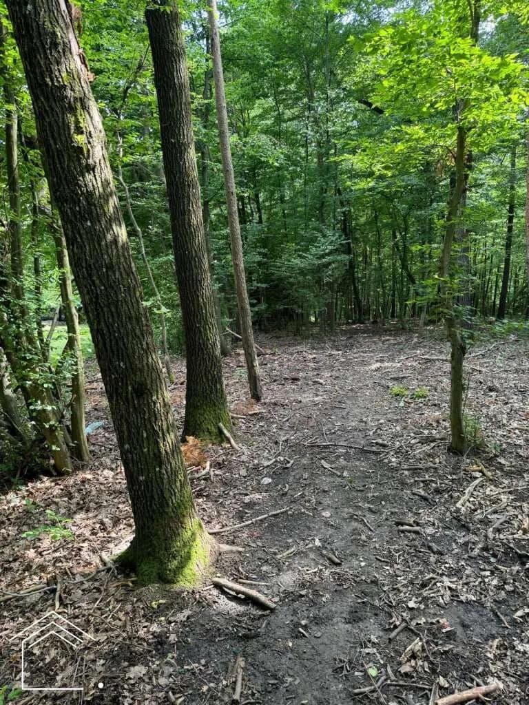 Immobilie kaufen in Oberwart – 2 313 m² – Bild 9 von 11