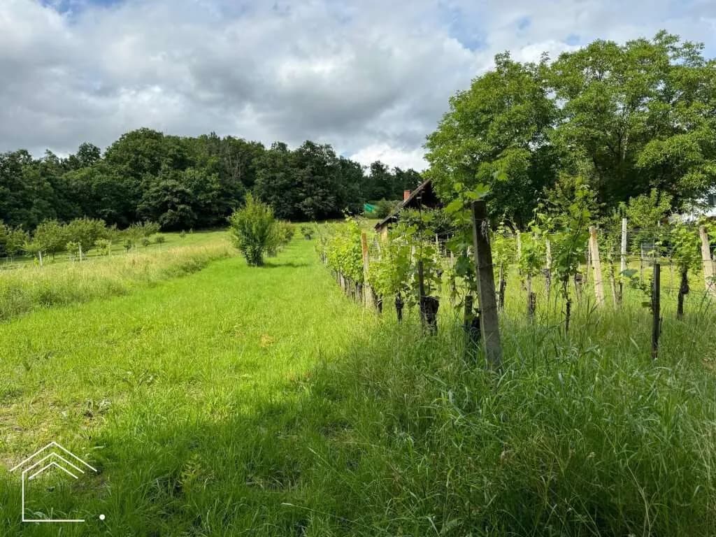 Immobilie kaufen in Oberwart – 2 313 m² – Bild 10 von 11