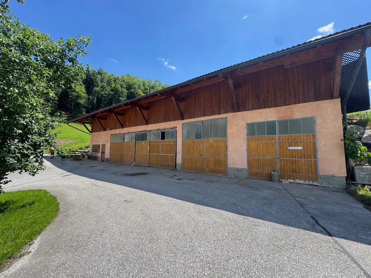 9-Zimmer-Immobilie kaufen in Hallein – 200 m², € 2.400.000 – Bild 4 von 5