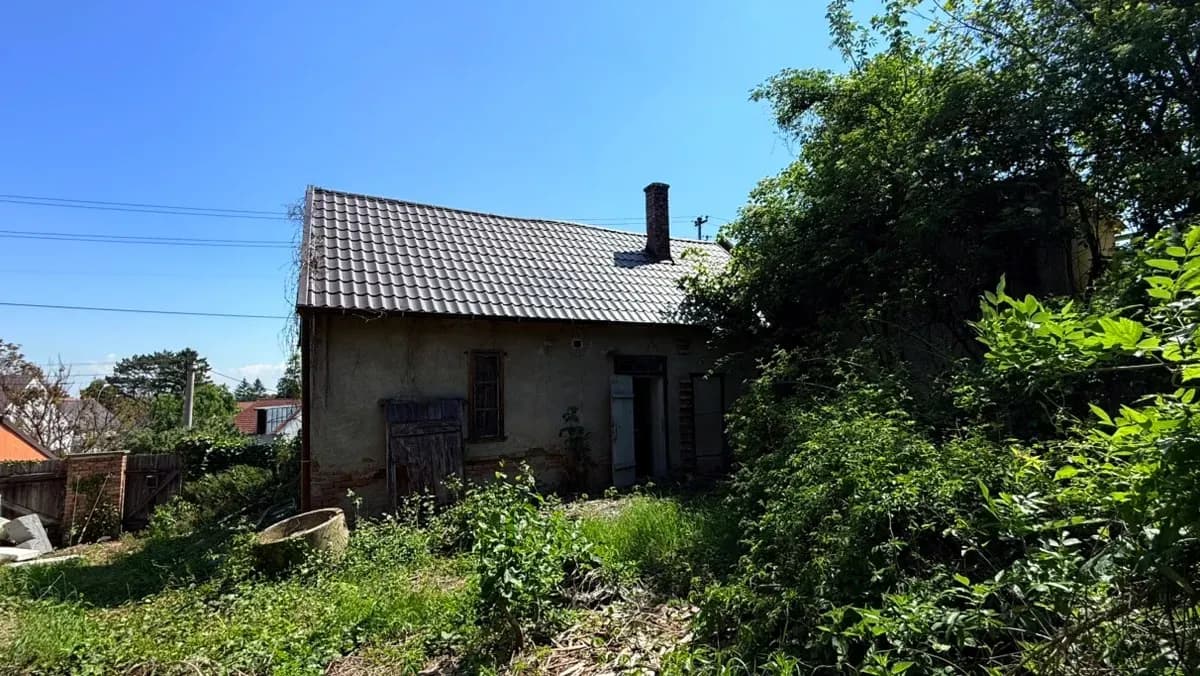 3-Zimmer-Immobilie kaufen in Gänserndorf – 53 m², € 39.000