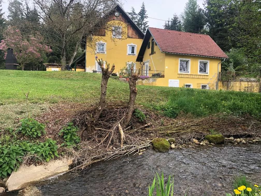 Gewerbeimmobilie kaufen in Völkermarkt – 250 m², € 439.000 – Bild 4 von 30