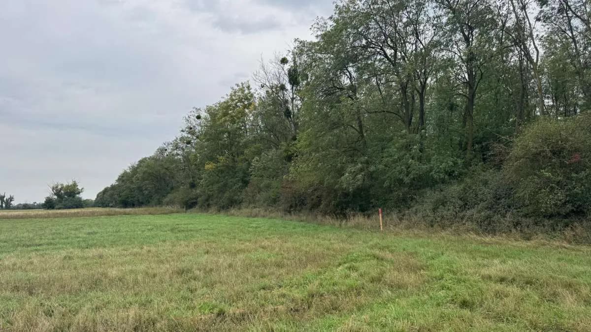Grundstück kaufen in Österreich – 2 829 m², € 9.350