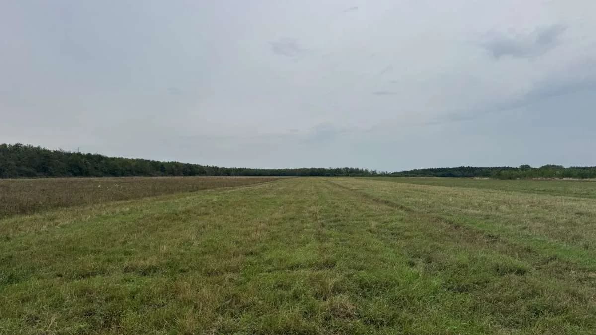 Grundstück kaufen in Österreich – 2 829 m², € 9.350 – Bild 4 von 15
