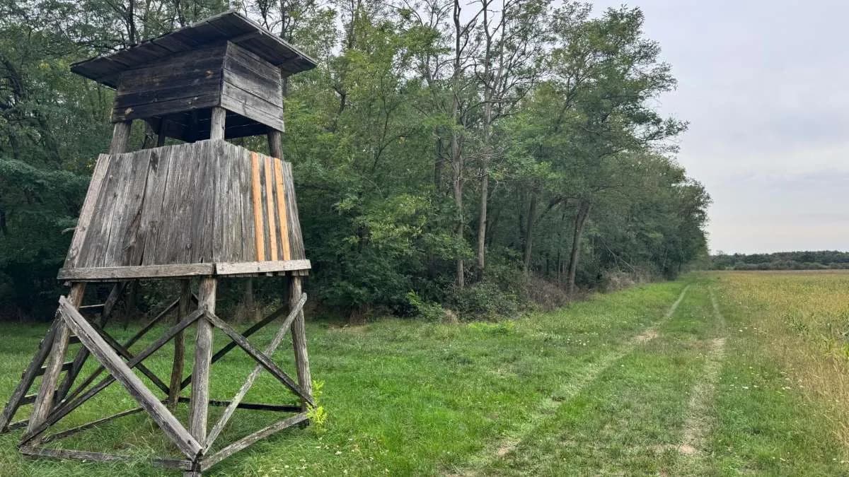 Grundstück kaufen in Österreich – 2 829 m², € 9.350 – Bild 5 von 15