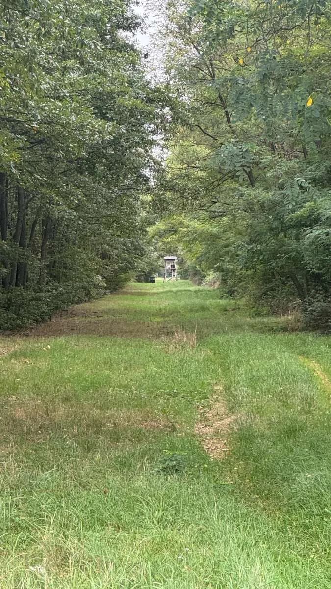 Grundstück kaufen in Österreich – 2 829 m², € 9.350 – Bild 6 von 15