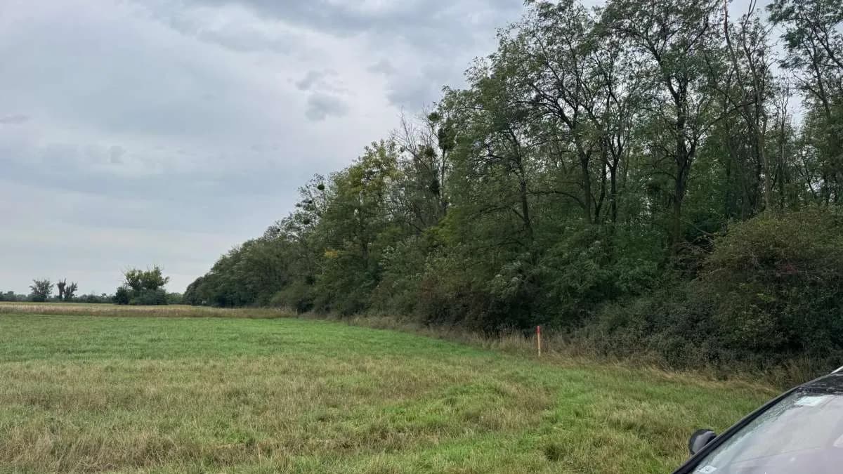 Grundstück kaufen in Österreich – 2 829 m², € 9.350 – Bild 7 von 15