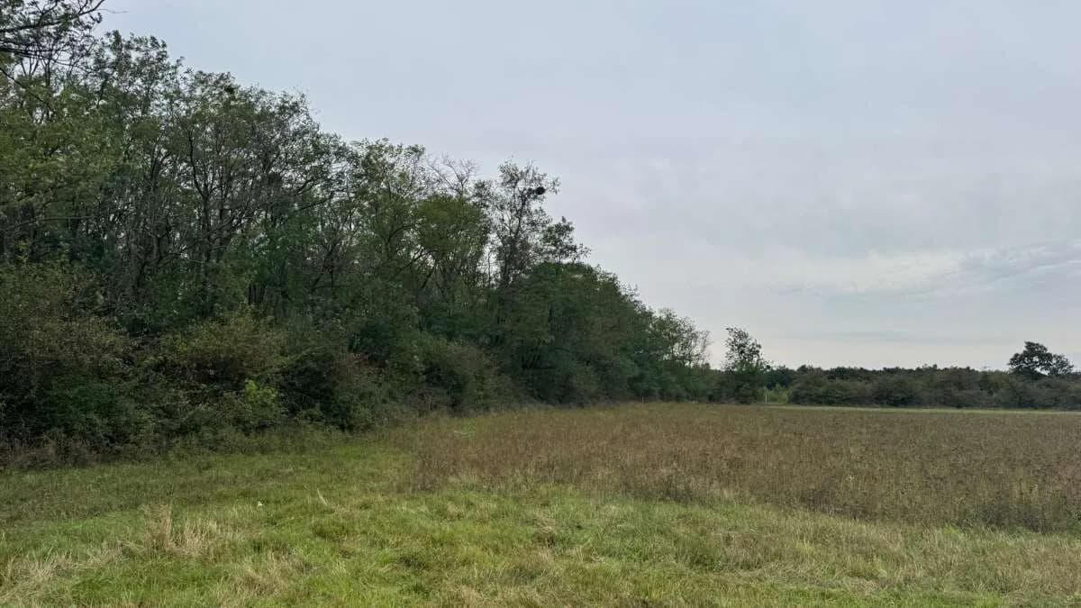 Grundstück kaufen in Österreich – 2 829 m², € 9.350 – Bild 8 von 15