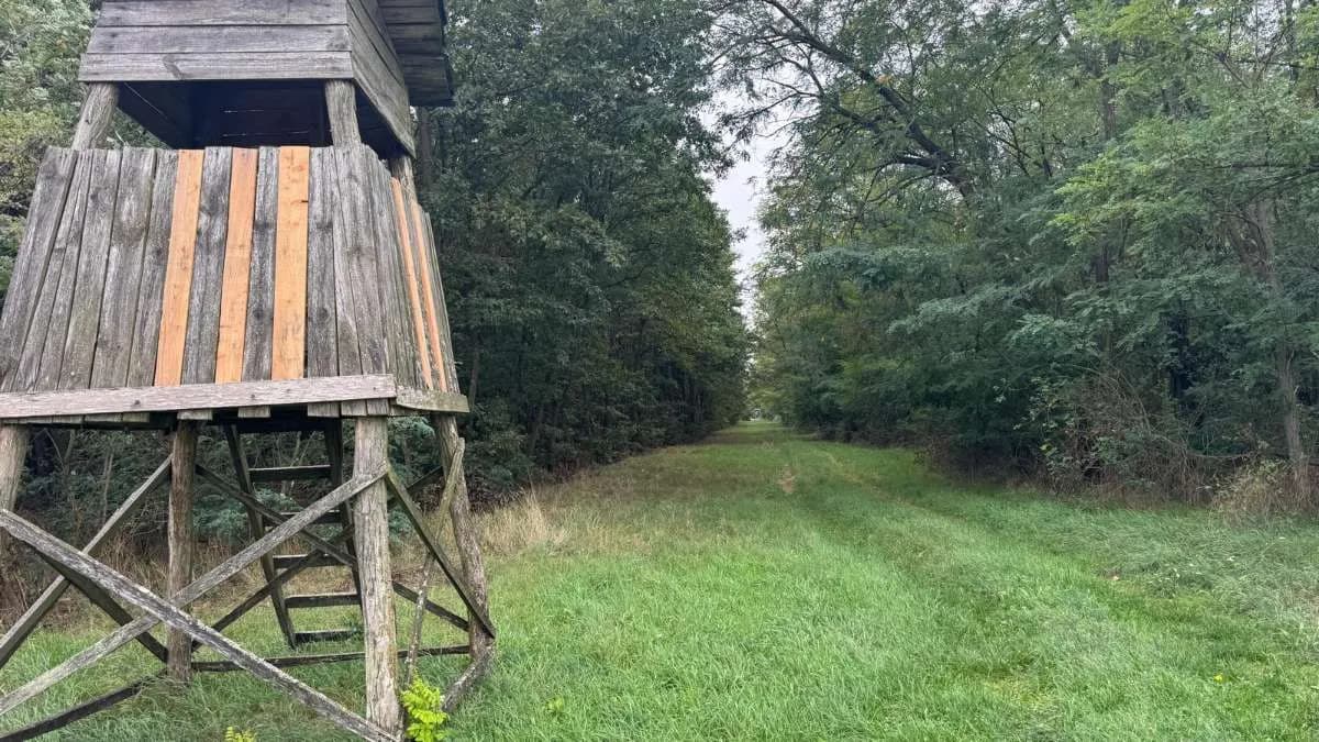 Grundstück kaufen in Österreich – 2 829 m², € 9.350 – Bild 10 von 15