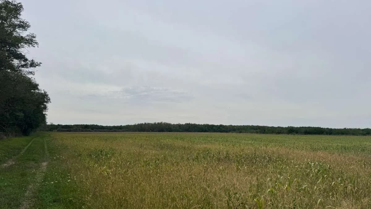 Grundstück kaufen in Österreich – 2 829 m², € 9.350 – Bild 11 von 15